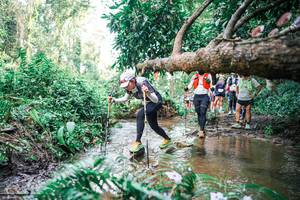 BIB: 
                            <button type="button" onclick="openModal(25515459)" class="btn btn-primary btn-sm float-right btn-popup" data-toggle="modal" data-target=".modal-high-quality">
                        <i class="fas fa-shopping-cart"></i> Add to Cart
                    </button>
                                            <button type="button" onclick="isThisMe(25515459, true)" class="btn btn-success btn-sm float-right btn-popup btn-isme hidden" data-toggle="tooltip" data-placement="bottom" title="นี่คือรูปของคุณใช่ไหม คลิกที่นี่เพื่อเอาเข้าอัลบั้ม">
                        <i class="fas fa-plus"></i> Add to album
                    </button>
                    <button type="button" onclick="isThisMe(25515459, false)" class="btn btn-warning btn-sm float-right btn-popup btn-isnotme hidden">
                        <i class="fas fa-ban"></i> Remove from album
                    </button>